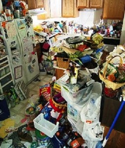 Hoarding turns homes into dumps often littered with rotten, mouldy and rodent infested waste.